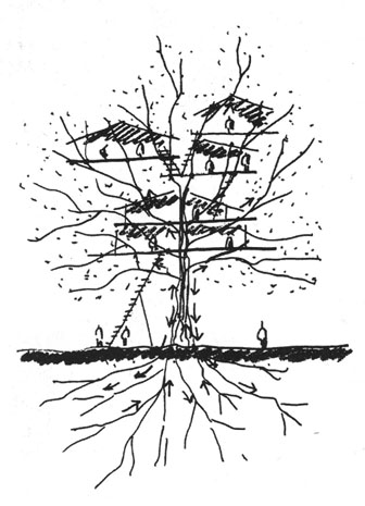 Disegno di Giancarlo De Carlo